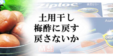 梅干しを土用干しして梅酢に戻すか戻さないかの基準