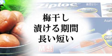 梅干しを漬ける期間の長い短いの参考！目安が丸わかり