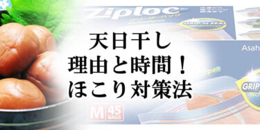 梅干しを天日干しする理由と時間目安！ほこり対策法について