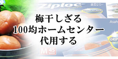 梅干しざるを100均やホームセンターで代用する6案