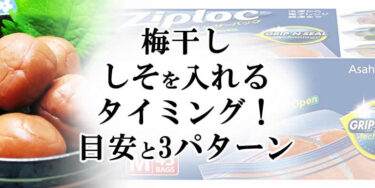 梅干しのしそを入れるタイミング！目安と3パターンについて