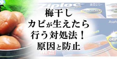 梅干しにカビが生えたら行う対処法！原因と防止について